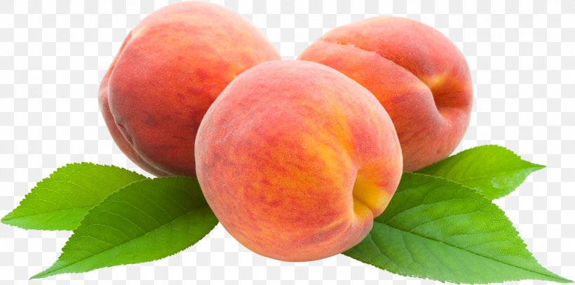 Saturn Peach Clip Art, PNG, 1609x800px, Saturn Peach, Apricot, Drawing, Food, Fruit Download Free