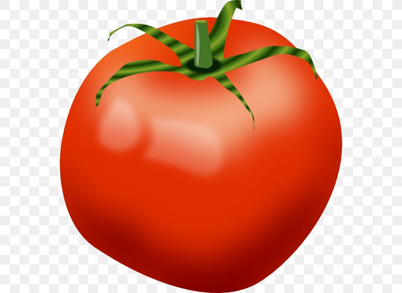 Tomato Vegetable Clip Art, PNG, 576x598px, Tomato, Apple, Bell Peppers And Chili Peppers, Bush Tomato, Cocona Download Free