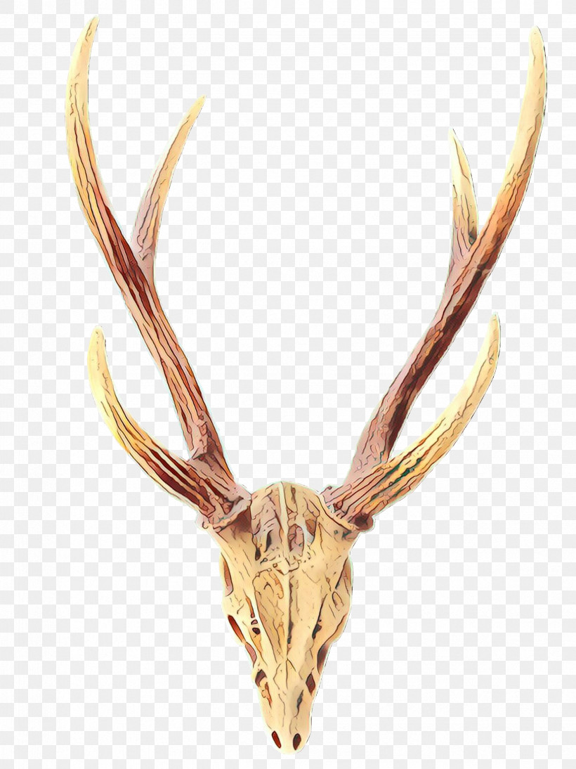 Horn Antler Head Deer Elk, PNG, 2446x3264px, Horn, Antler, Bone, Deer, Elk Download Free