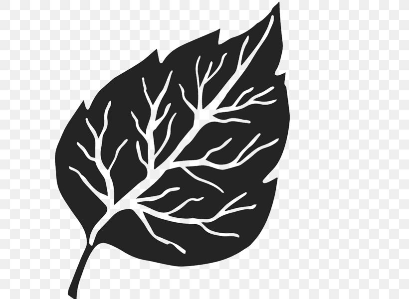 Image Leaf White Twig, PNG, 600x600px, Leaf, Birch, Black, Blackandwhite, Botany Download Free