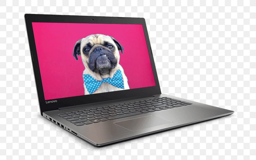 Laptop Lenovo Ideapad 320 (15) Intel Core, PNG, 725x515px, Laptop, Carnivoran, Celeron, Dog, Dog Like Mammal Download Free