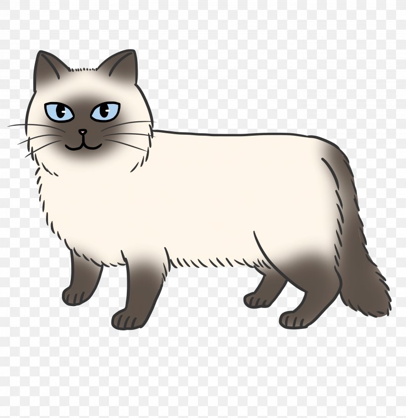 Manx Cat Whiskers Himalayan Cat Kitten Domestic Short-haired Cat, PNG, 2756x2839px, Manx Cat, Abyssinian Cat, American Curl, American Shorthair, Asian Download Free