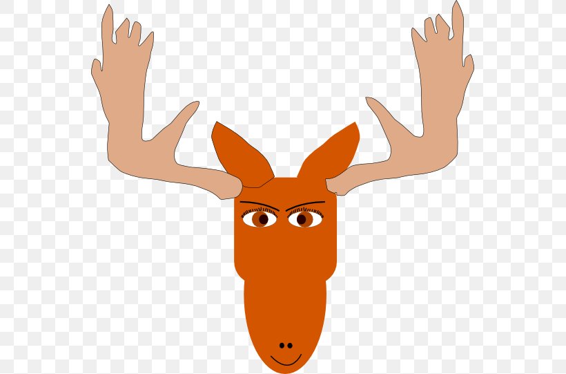 Moose Elk Clip Art Png 555x541px Moose Antler Cartoon