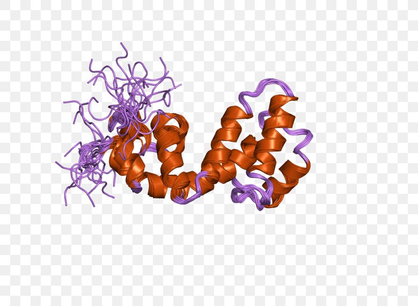 Rgs18 Regulator Of G Protein Signaling Font, PNG, 800x600px, Regulator Of G Protein Signaling, Function, Gene, Homo Sapiens, Interaction Download Free