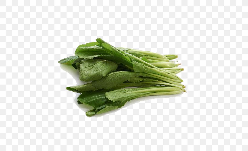 Spinach Leaf Vegetable Spring Greens, PNG, 500x500px, Spinach, Cabbage, Cauliflower, Choy Sum, Komatsuna Download Free