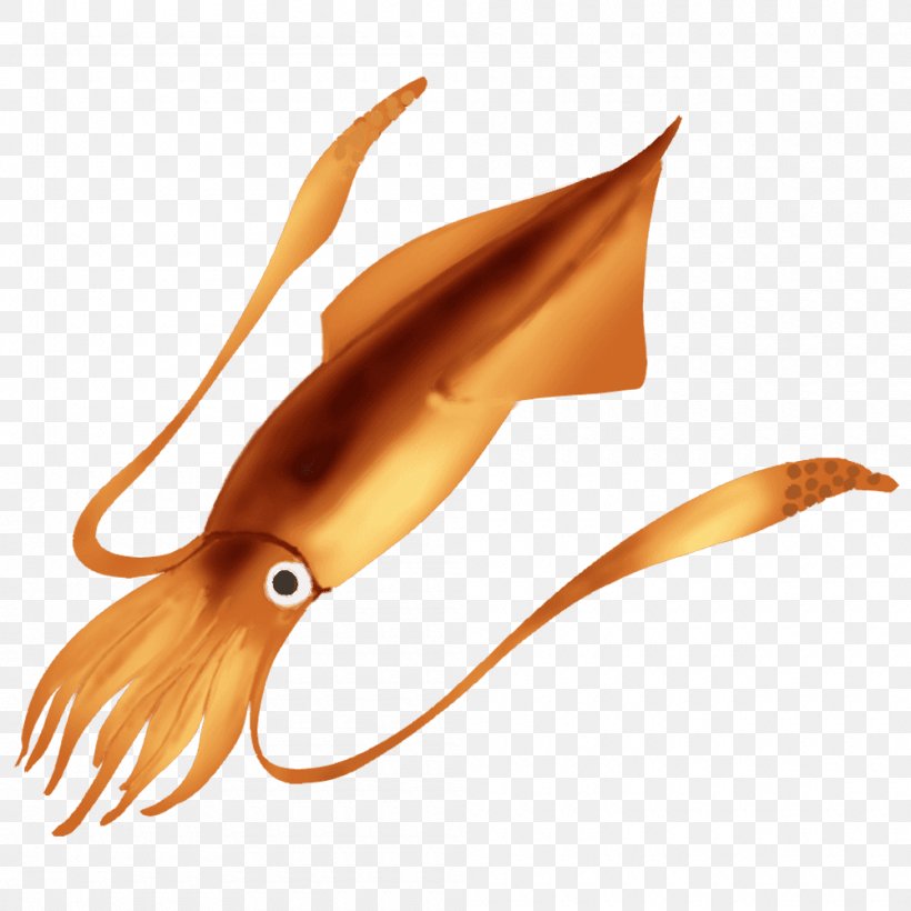 Squid Illustration Ikameshi Heterololigo Sashimi, PNG, 1000x1000px, Squid, Animal Source Foods, Cephalopod, Consul, Decapodiformes Download Free