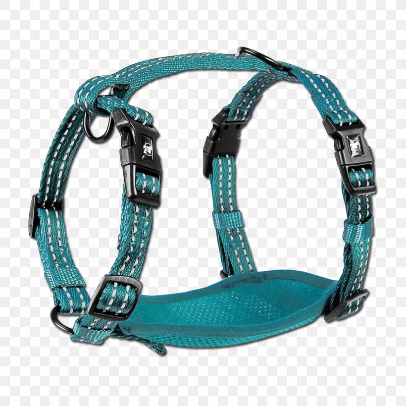 Dog Harness Horse Harnesses Dog Walking Dog Collar, PNG, 1000x1000px, Dog, Aqua, Aston Martin, Aston Martin V12 Vantage, Clothing Download Free