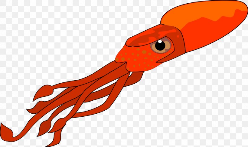 Squid As Food Free Content Clip Art, PNG, 900x533px, Squid, Cephalopod, Drawing, Free Content, Giant Squid Download Free