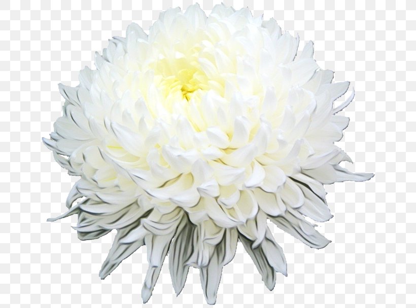 Chrysanthemum Floral Design Cut Flowers, PNG, 811x608px, Chrysanthemum, Artificial Flower, Aster, China Aster, Chrysanths Download Free