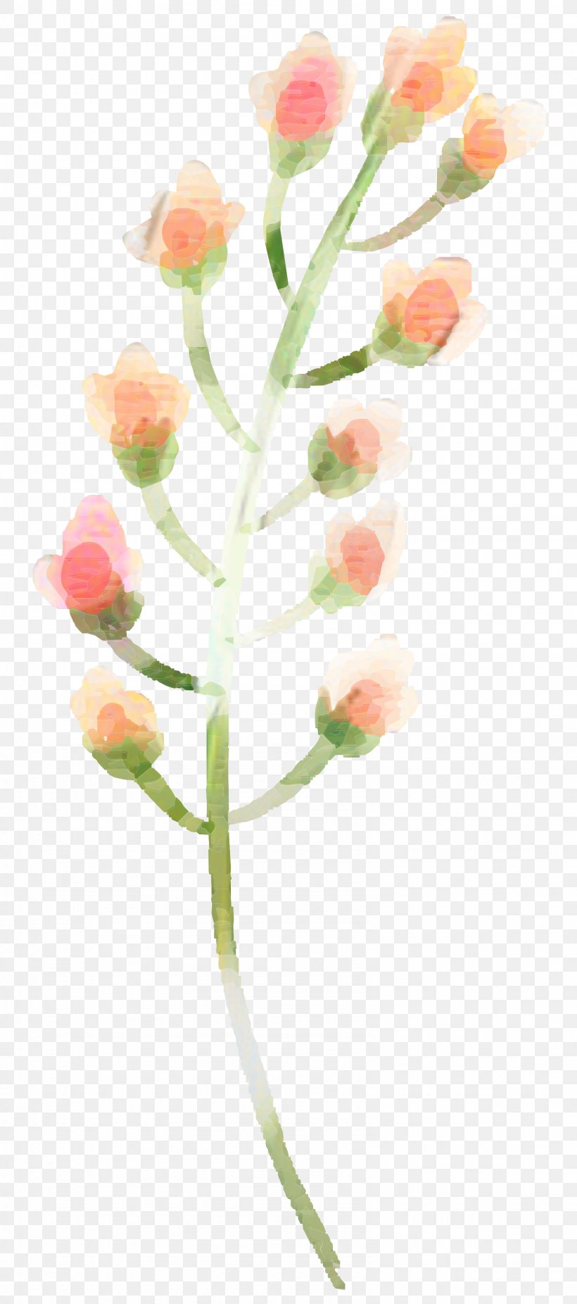 Watercolor Pink Flowers, PNG, 1590x3593px, Floral Design, Artificial Flower, Branch, Bud, Cut Flowers Download Free