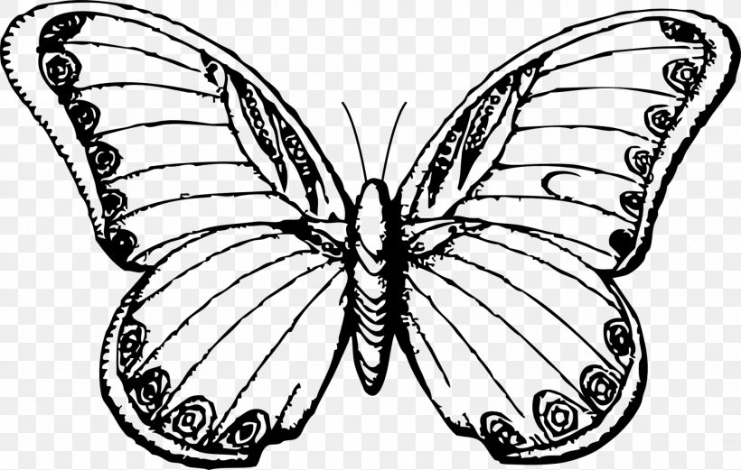 Butterfly Line Art Drawing Insect Clip Art, PNG, 1871x1189px, Butterfly, Art, Artwork, Black And White, Bombycidae Download Free