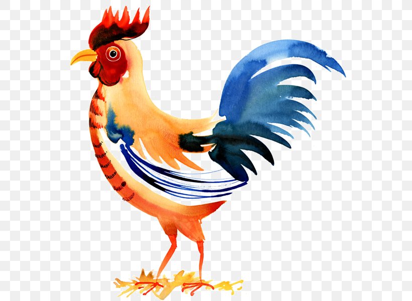 Chicken Cartoon, PNG, 574x600px, Chicken, Art, Beak, Bird, Color Download Free