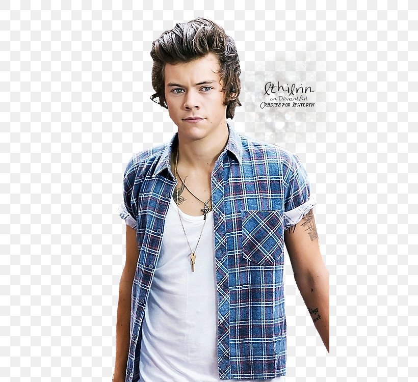 Harry Styles Take Me Home Tour Image One Direction, PNG, 473x750px, Harry Styles, Black Hair, Brown Hair, Cool, Denim Download Free