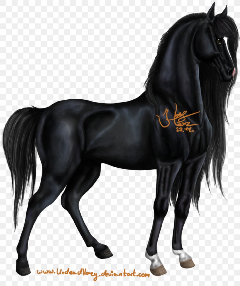 Percheron Mustang Arabian Horse Stallion Pony, PNG, 1024x1220px, Percheron, Animal, Arabian Horse, Black, Bridle Download Free