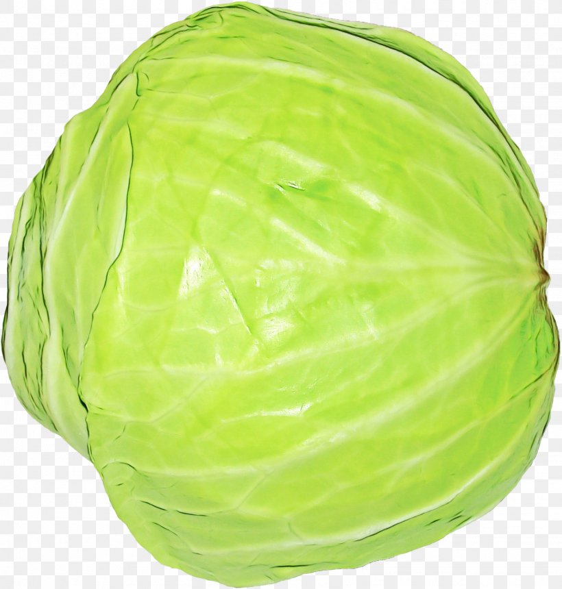 Cabbage Green Wild Cabbage Iceburg Lettuce Vegetable, PNG, 1548x1624px, Watercolor, Brussels Sprout, Cabbage, Cruciferous Vegetables, Green Download Free