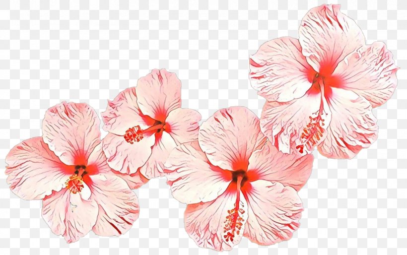Flower Hawaiian Hibiscus Petal Pink Plant, PNG, 1024x643px, Cartoon, Chinese Hibiscus, Flower, Flowering Plant, Geranium Download Free