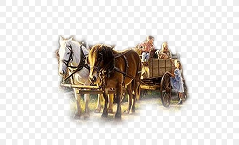 Horse And Buggy Horse Harnesses Chariot Cart, PNG, 500x500px, Horse, Carriage, Cart, Chariot, Chariot Racing Download Free