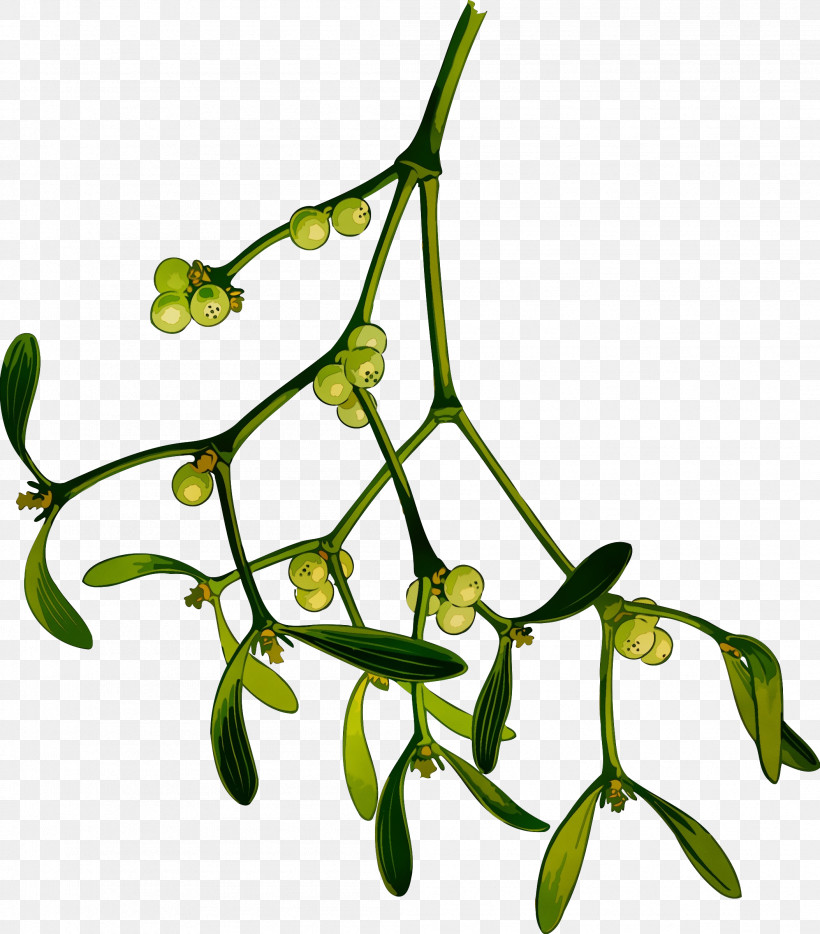 Branch Plant Flower Leaf Twig, PNG, 2106x2400px, Watercolor, Branch, Flower, Leaf, Paint Download Free