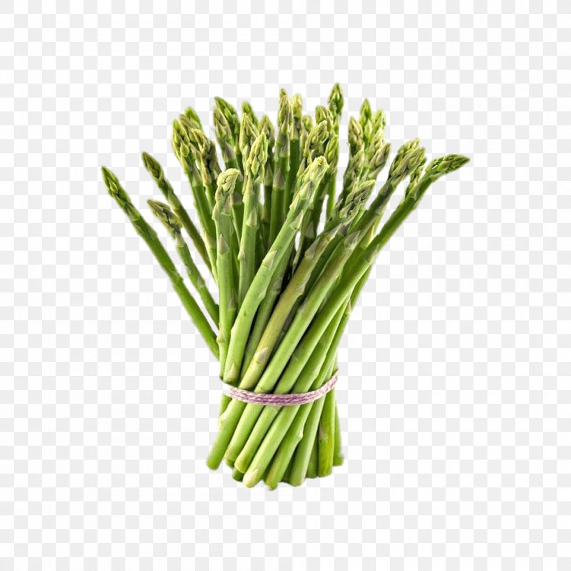 Garden Asparagus Vegetable Food Root Shatavari, PNG, 1000x1000px, Watercolor, Cartoon, Flower, Frame, Heart Download Free