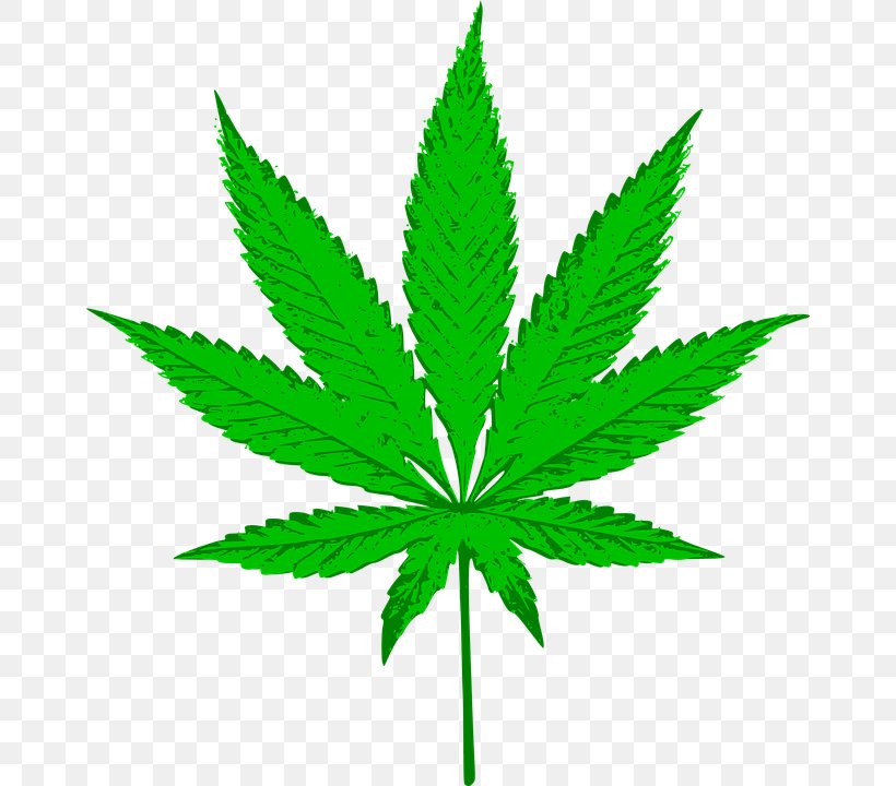 Hash, Marihuana & Hemp Museum Cannabis Leaf Clip Art, PNG, 662x720px, Cannabis, Cannabis Planet, Cannabis Smoking, Canopy Growth Corporation, Grass Download Free