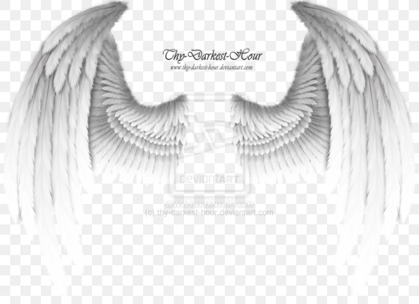Angel Drawing Clip Art, PNG, 1024x745px, Angel, Black, Black And White, Drawing, Eyelash Download Free