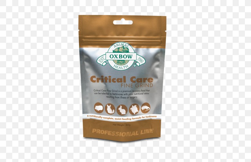 Dietary Supplement Intensive Care Medicine Surgery AACN Advanced Critical Care Journal Of Critical Care, PNG, 600x530px, Dietary Supplement, Aacn Advanced Critical Care, Diet, Eating, Feeding Tube Download Free