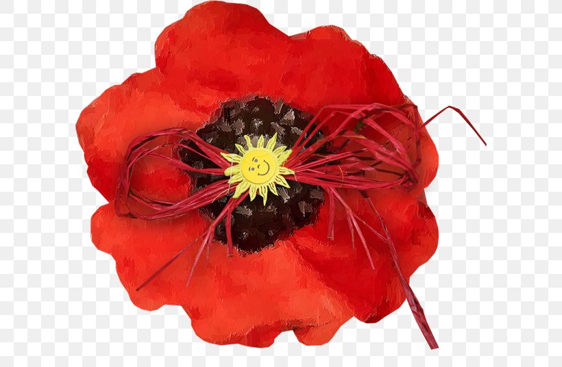 Common Poppy Flower Clip Art, PNG, 600x536px, Poppy, Blume, Common Poppy, Coquelicot, Cut Flowers Download Free