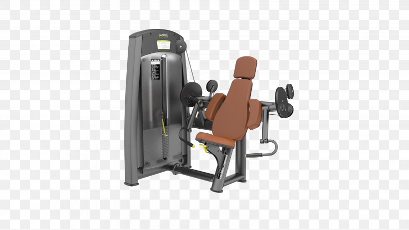 Biceps Curl Fitness Centre Bodybuilding Exercise Equipment Exercise Machine, PNG, 3200x1801px, Biceps Curl, Aerobic Exercise, Bench Press, Bodybuilding, Commerce Download Free