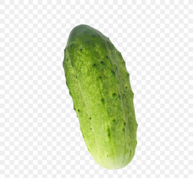 Cucumber Vegetable, PNG, 1300x1200px, Cucumber, Armenian Cucumber, Avocado, Cucumber Gourd And Melon Family, Cucumis Download Free
