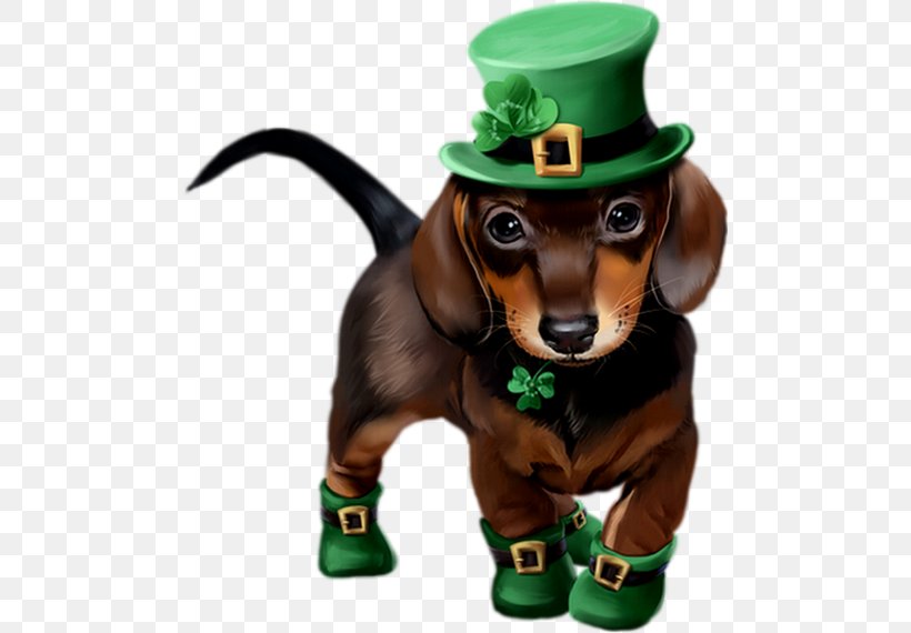 Dachshund Saint Patrick's Day Puppy Art 17 March, PNG, 490x570px, 17 March, Dachshund, Art, Carnivoran, Dog Download Free