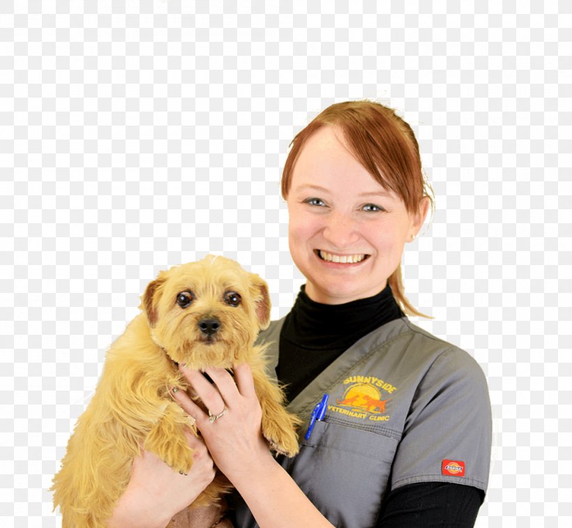Dog Breed Norfolk Terrier Puppy Veterinarian Paraveterinary Worker, PNG, 1000x924px, Dog Breed, Academic Degree, Animal, Associate Degree, Carnivoran Download Free