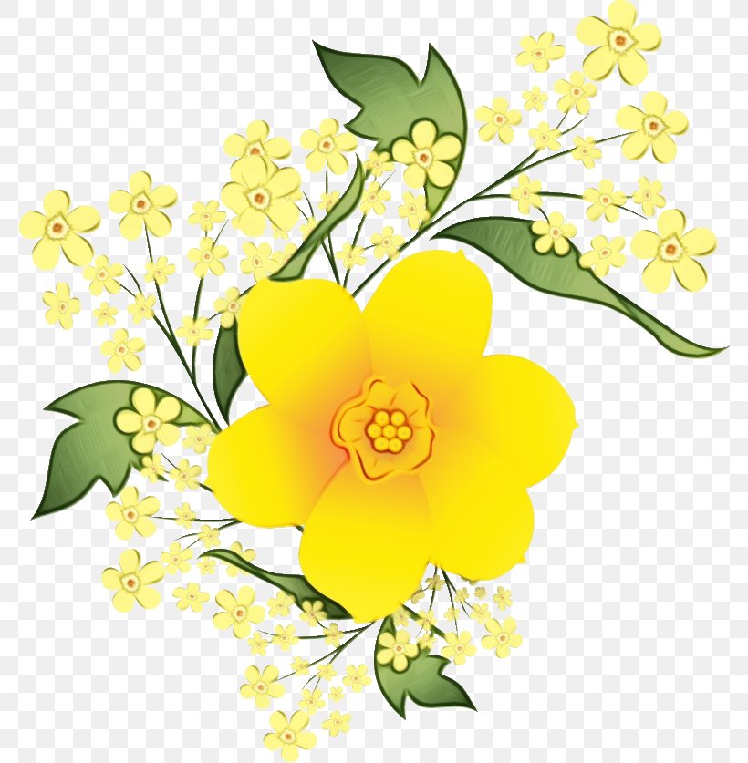 Flower Yellow Plant Petal Flowering Plant, PNG, 780x837px, Watercolor, Branch, Flower, Flowering Plant, Paint Download Free