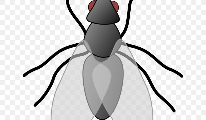 Insect Clip Art Vector Graphics Fly Mosquito, PNG, 640x480px, Insect, Arthropod, Artwork, Black And White, Dragonfly Download Free