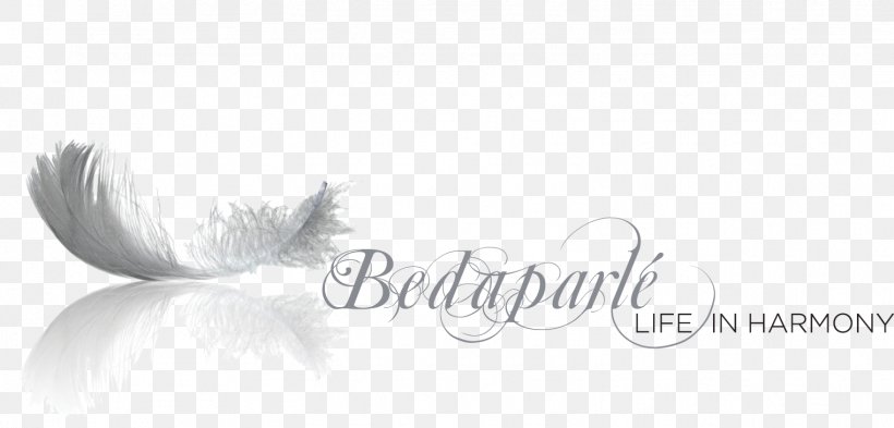 Logo Feather Calligraphy White Font, PNG, 1522x730px, Logo, Artwork, Beak, Beauty, Bird Download Free