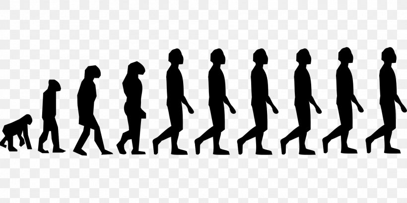 Neandertal Chimpanzee Ape Homo Sapiens Human Evolution, PNG, 1920x960px, Neandertal, Ape, Black And White, Brand, Charles Darwin Download Free