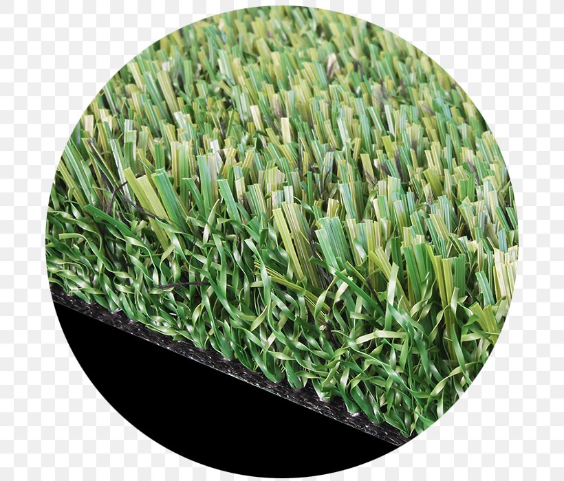 Artificial Turf Lawn Yard Carpet Synthetic Fiber, PNG, 700x700px, Artificial Turf, Carpet, Dog, Foreverlawn Inc, Gardener Download Free