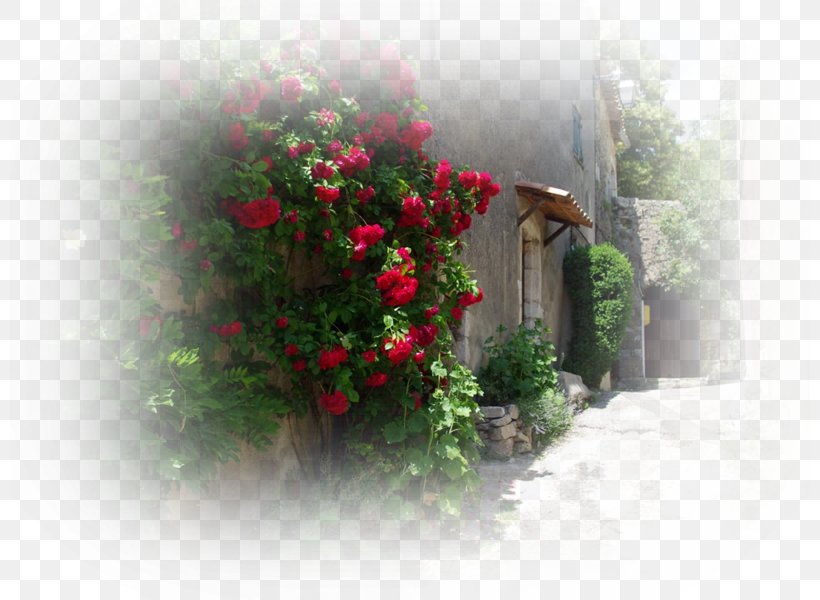 Middle Ages Garden Roses Chateau De Bargeme City History, PNG, 800x600px, Middle Ages, Ancient Monument, City, Flora, Floral Design Download Free