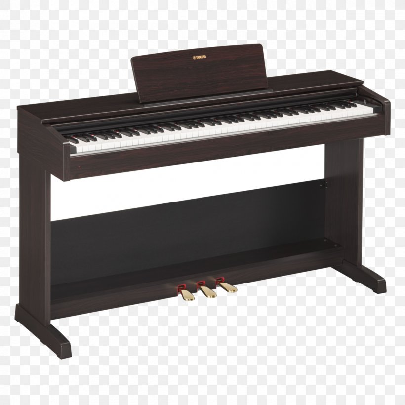 NAMM Show Yamaha Corporation Yamaha Arius YDP-103 Digital Piano Keyboard, PNG, 1200x1200px, Watercolor, Cartoon, Flower, Frame, Heart Download Free
