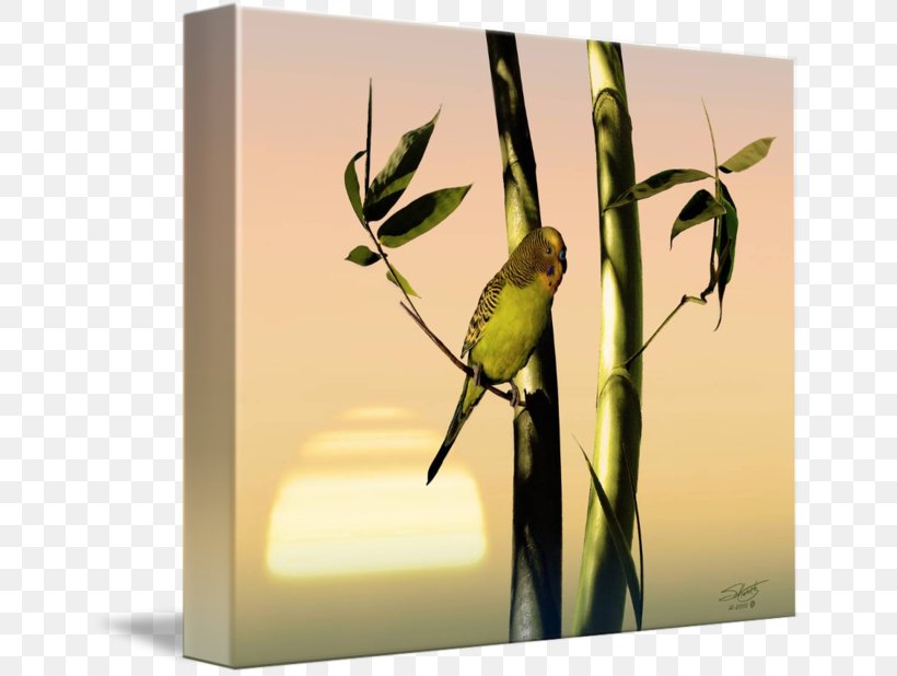 Parakeet Budgerigar Fine Art Painting, PNG, 650x618px, Parakeet, Art, Beak, Bird, Branch Download Free