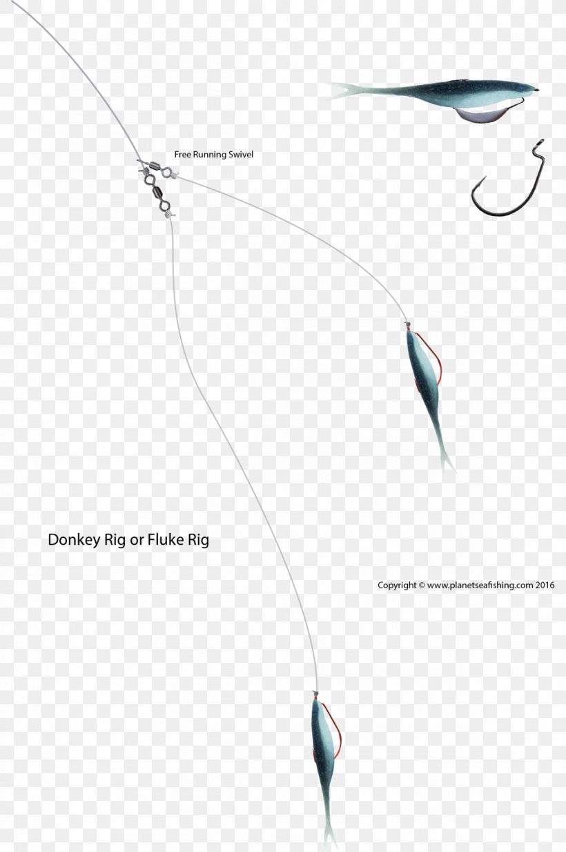 Rig Fishing Baits & Lures Bass Fishing, PNG, 1200x1806px, Rig, Bait, Bass, Bass Fishing, Donkey Download Free