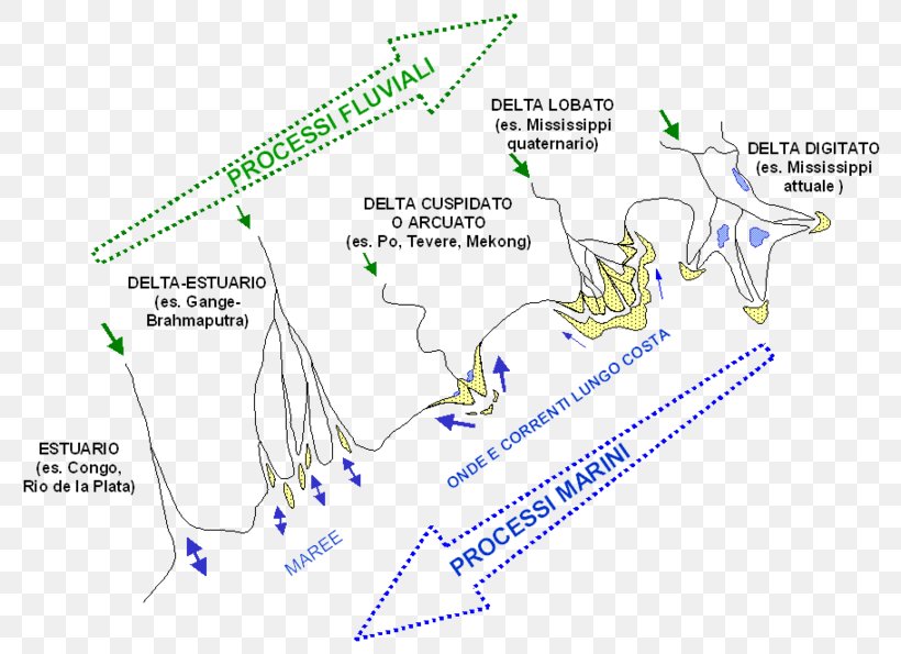 River Delta Fluvial River Mouth Sediment Landform, PNG, 800x595px, River Delta, Area, Cycle Of Erosion, Delta, Diagram Download Free