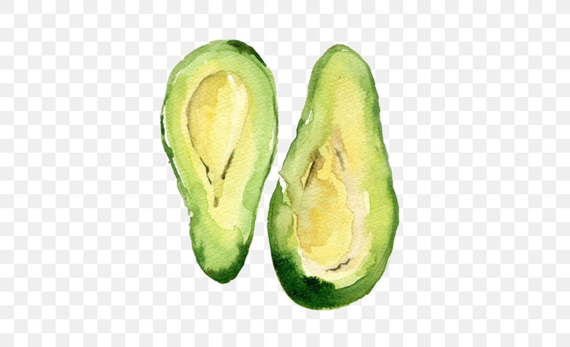 Avocado Watercolor Painting Drawing Food, PNG, 500x500px, Avocado, Art, Canvas, Canvas Print, Color Download Free