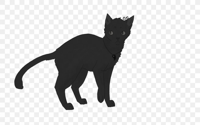 Bombay Cat Korat Black Cat Kitten Domestic Short-haired Cat, PNG, 1131x707px, Bombay Cat, Black, Black And White, Black Cat, Black M Download Free