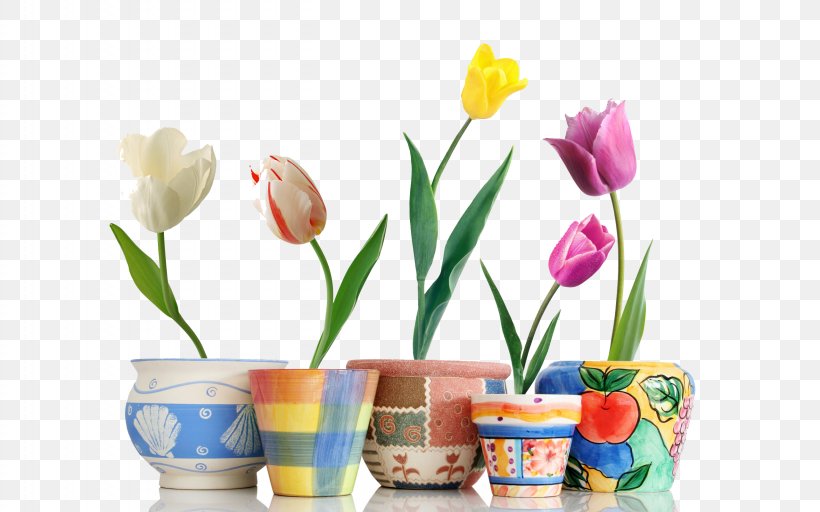 Canadian Tulip Festival Flower Wallpaper, PNG, 2560x1600px, Canadian Tulip Festival, Floral Design, Floristry, Flower, Flowering Plant Download Free