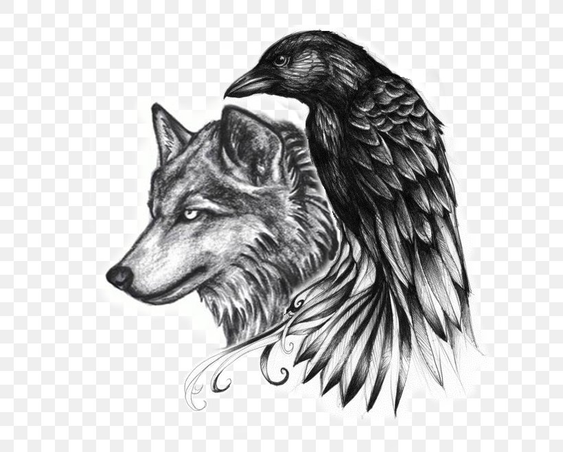 Common Raven Abziehtattoo Crow Gray Wolf, PNG, 698x658px, Common Raven, Abziehtattoo, Beak, Bird, Black And White Download Free