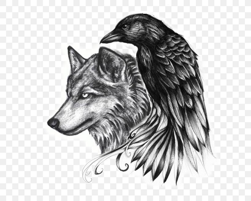 Common Raven Abziehtattoo Crow Gray Wolf, PNG, 698x658px, Common Raven ...