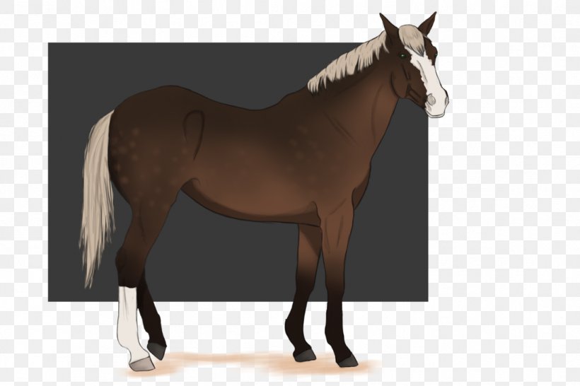 Foal Halter Mustang Stallion Horse Harnesses, PNG, 1095x730px, Foal, Bridle, Colt, Halter, Horse Download Free