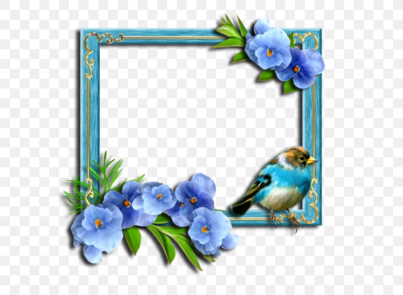Picture Frames Photography Floral Design, PNG, 600x600px, Picture Frames, Bird, Blue, Branch, Cobalt Blue Download Free