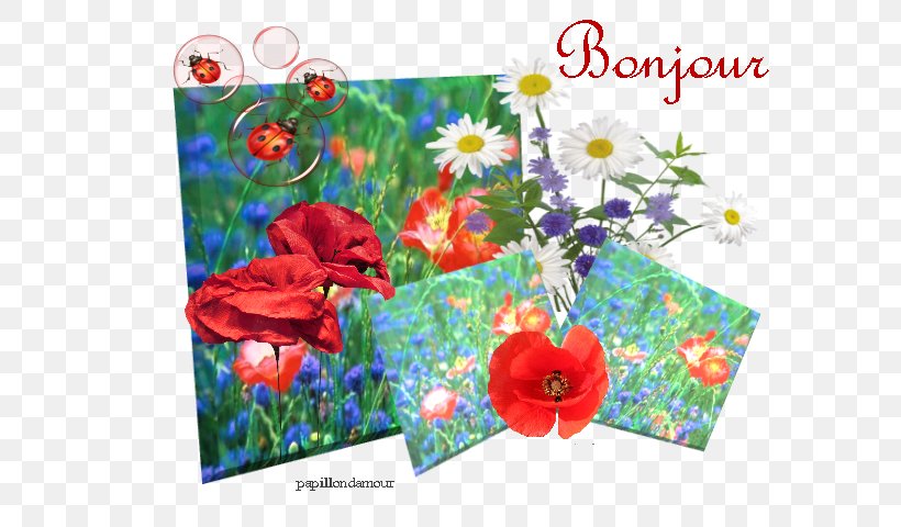 Apple Greeting & Note Cards Floral Design Plants, PNG, 640x480px, Apple, Flora, Floral Design, Flower, Flowering Plant Download Free