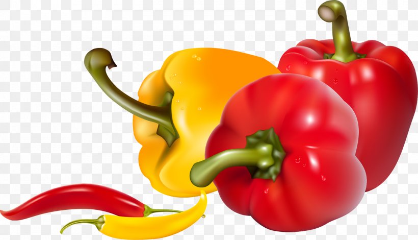 Chili Pepper Bell Pepper Red Curry Clip Art Black Pepper, PNG, 1500x861px, Chili Pepper, Bell Pepper, Bell Peppers And Chili Peppers, Black Pepper, Capsicum Download Free